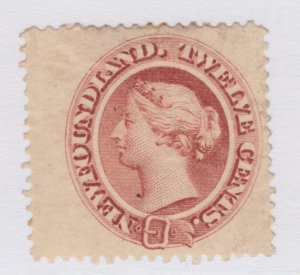 NEWFOUNDLAND #28  mint VF hinge remnant WINGED MARGIN