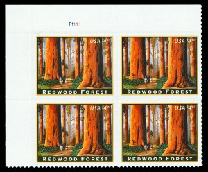 Scott 4378 $4.95 Redwood Forest Mint Plate Block NH Cat $45 (face $19.80)