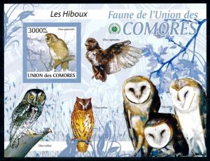 [96683] Comores Comoros 2009 Birds Vögel Oiseaux Owls Imperf. Sheet MNH