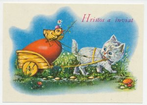 Postal stationery Rumania 1990 Cat - Chicken - Mushroom