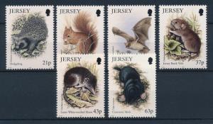 [41221] Jersey 1999 Wild Animals Mammals Hedgehog Squirrel Bats Mole MNH