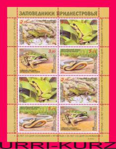 TRANSNISTRIA 2013 Nature Fauna Reptiles Amphibians Snake Lizard Frog m-sheet MNH