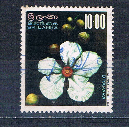 Sri Lanka 498 Used Wormia triquetra flower 1976 (S1151)+