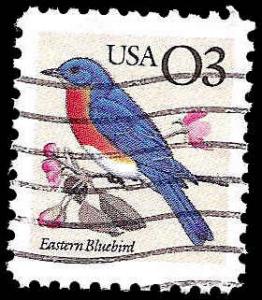 # 2478 USED EASTERN BLUEBIRD