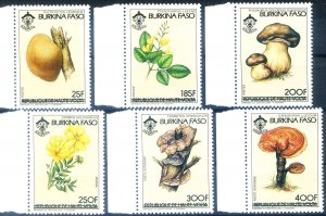 Mushrooms and Flowers 1985.