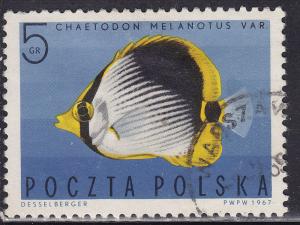 Poland 1492 Striped Butterfly Fish 1967