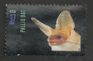 # 3663 USED PALLID BAT