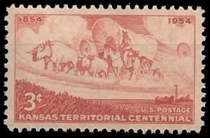 US - 1061 - MNH - SCV-0.25