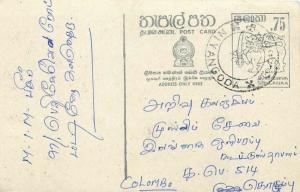 Entier Postal Postal Stationary Sri Lanka Ceylan Lion