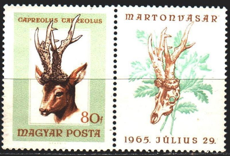 Hungary. 1966. 2258 from the series. Antelope fauna. MNH.