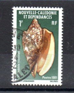 NEW CALEDONIA - 1F - 1981 - SEASHELL - CYMBIOLA ROSSINIANA - Used -