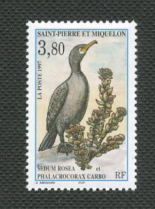 St Pierre & Miquelon - Scott's # 635 Bird + Plant - M NH