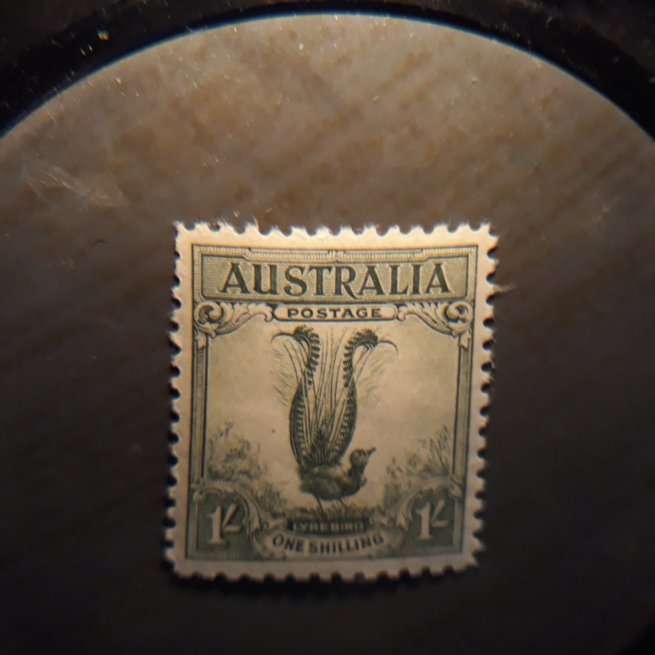 australia    141  1932  single VF LH