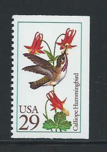 #2646 MNH Calliope Hummingbird