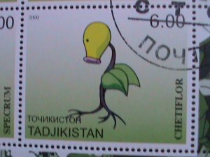 ​TAJIKISTAN -2000 LOVELY FAMOUS POKEMON FANCY POSTAL CANCEL CTO SHEET VF