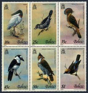 Belize 500 af block,MNH.Michel 493-498. Birds 1980.Jabiru,Antshrike,Flycatcher,