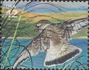 # 4352c USED PIPING PLOVER