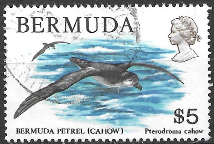 Bermuda $5 Petrael Bird issue of 1978, Scott 379 Used