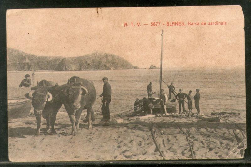 Spain 1914 Blanes Sardinals boat Transport Used View Post Card # 1454-125