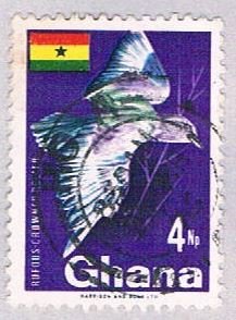 Ghana Bird 4 (AP102625)