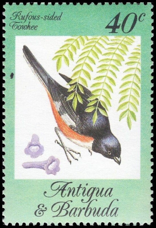 Antigua & Barbuda 1984 Sc 773-777 Birds Towhee Warbler Kinglet Flicker CV $9.15