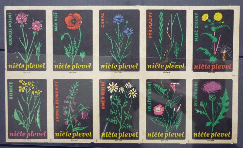 Match Box Labels! flora flower flowers nature czechoslovakia GJ50