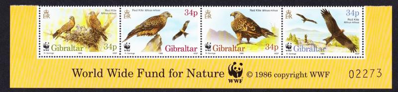 Gibraltar Birds WWF Red Kite Bottom strip of 4v with WWF Logo SG#784-787 SC#716