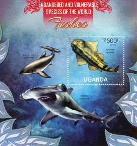 Uganda Fish Stamps 2013 MNH Fishes Endangered Species Sharks 1v S/S