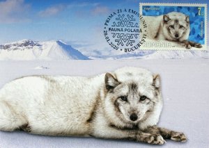 Romania 2020 Polar Fauna maxi card,  210 sets only!!!  the artic fox