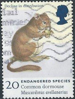 Great Britain 1785 (used) 20p endangered species: common dormouse (1998)