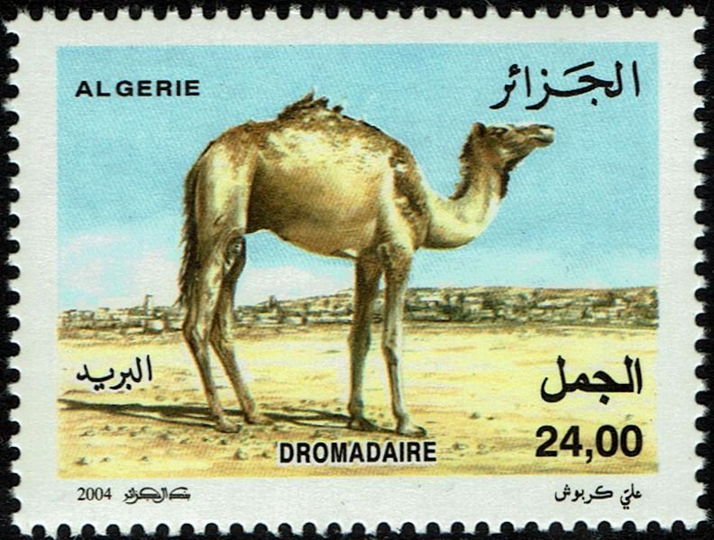 Algeria #1307  MNH - Camel Dromedary (2004)