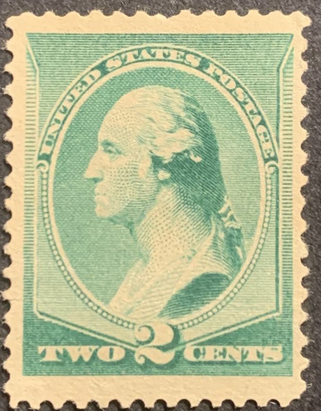 US #213-1887 2c Washington, Green.  MNH.  No Gum.