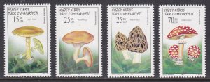 Northern Cyprus, Mushrooms MNH / 1997