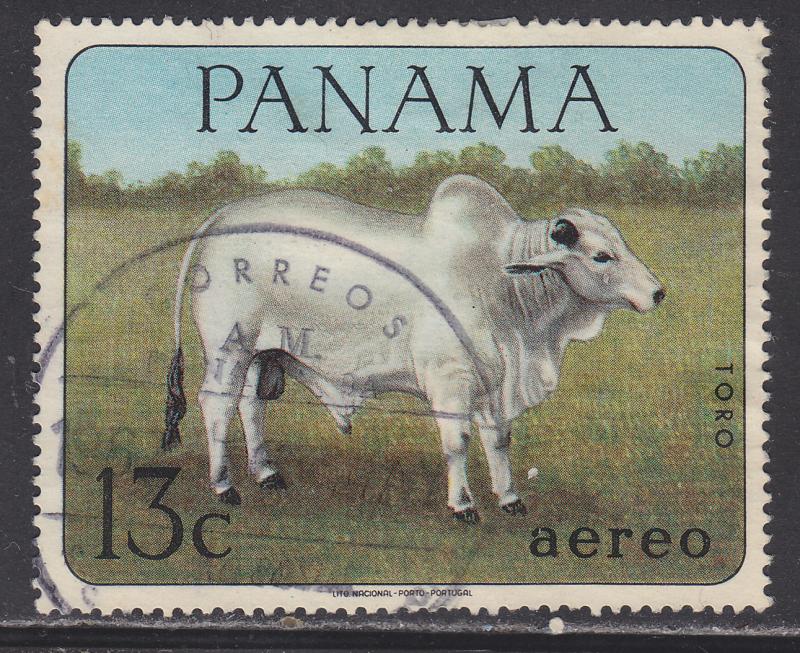 Panama C354 Zebu Bull Cattle 1967