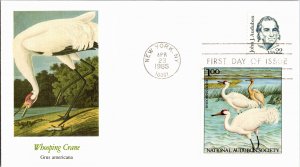 United States, United States First Day Cover, Birds, Art, Seals and Labels, N...