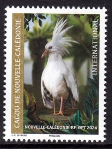 NEW CALEDONIA 2024 BIRDS CAGOU OISEAUX VOGEL UCCELLO AVES