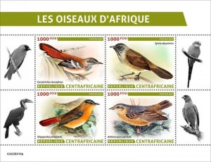 Central Africa - 2023 African Birds, Robin-chat - 4 Stamp Sheet - CA230310a