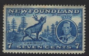 Newfoundland Sc#235 MH