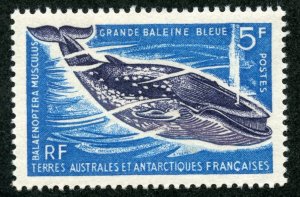 FSAT Scott 25 Unused HOG - 1966 5fr Great Blue Whale - SCV $18.50