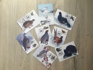 2021 Ukrainian maxi cards with stamps “Galliformes of Ukraine