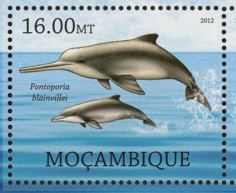 Dolphins Stamp Pontoporia Blainvillei Platanista Gangetica S/S MNH #5817-5822