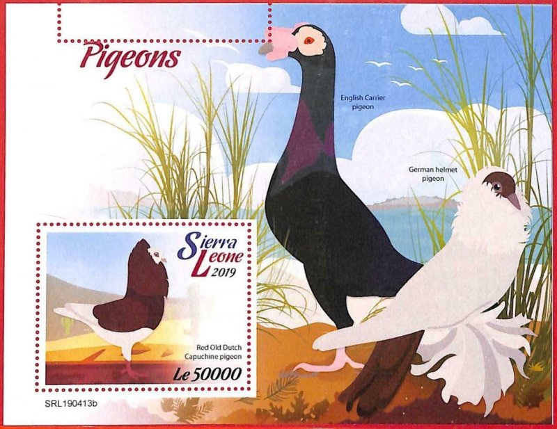 A4561 - SIERRA LEONE - ERROR MISPERF, Souvenir sheet: 2019, Pigeons, Birds