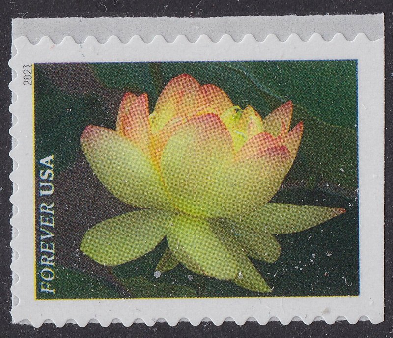 US 5558-5567 Garden Beauty forever set (10 stamps) MNH 2021