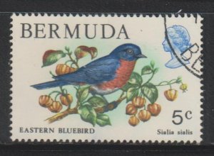 Bermuda,  5c Eastern bluebird (SC# 365) Used