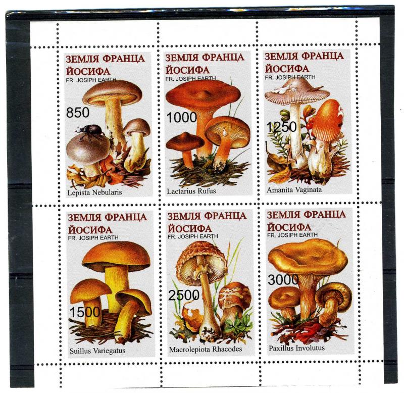 Fr.Josiph Earth 1997 (Russia Local Stamp) MUSHROOMS Sheet Perforated Mint (NH)