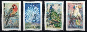 ROMANIA 1999 - Birds /complete set MNH