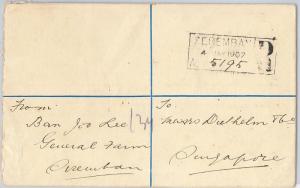 51927 - STRAITS SETTLEMENTS: Malay State - POSTAL STATIONERY COVER 1907 - TIGER