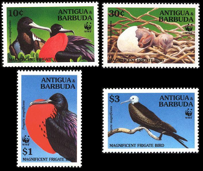 Antigua and Barbuda WWF Magnificent Frigatebird 4v SG#2049//55 SC#1847-53