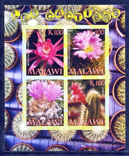 Malawi 2007 M/S Les Cactiers Flowers Plants Cactus Nature Stamps MNH imperf Rare