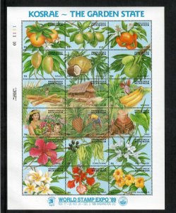 Micronesia 1989 - The Garden State Fruit - Sheet of 18 Stamps - Scott #103 - MNH